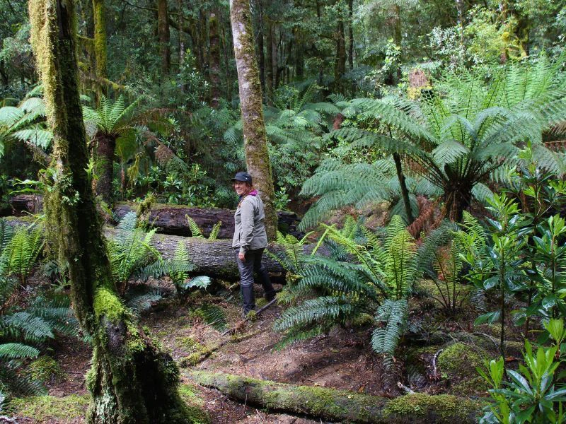 vrouw aan het wandelen in Tasmanië