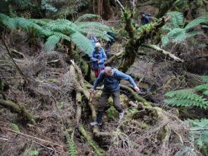 Wandelen in Tasmanie