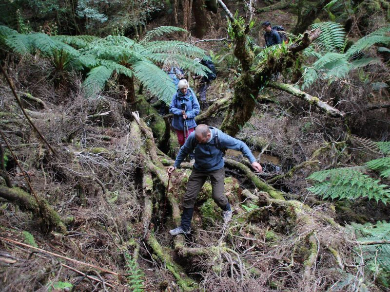 Wandelen in Tasmanie