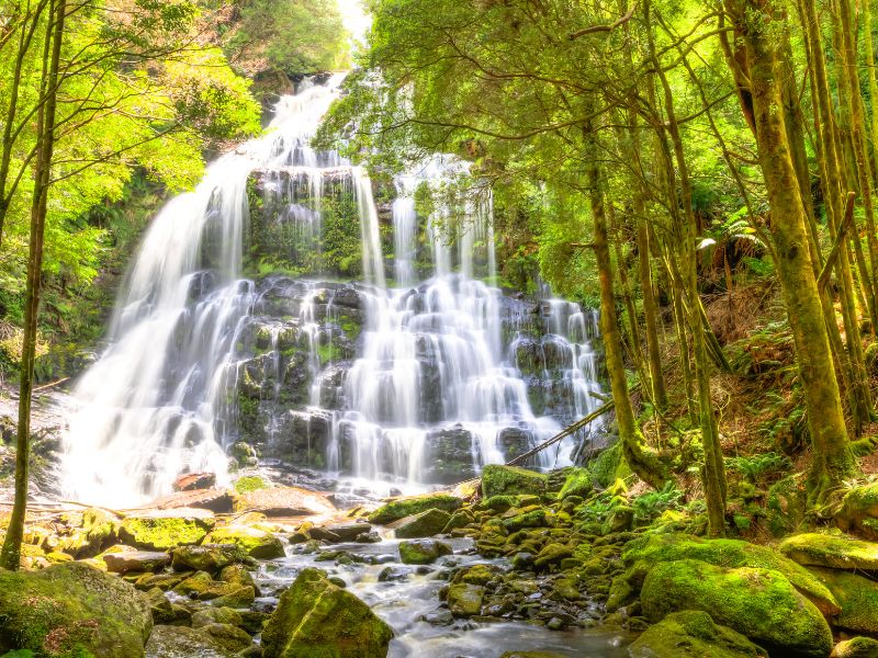 Watervallen in Tasmanie