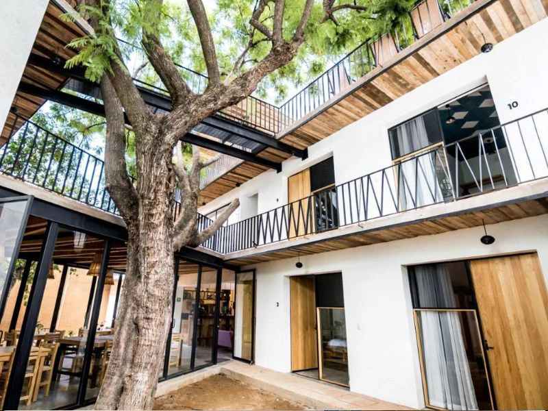 Oaxaca Hotel