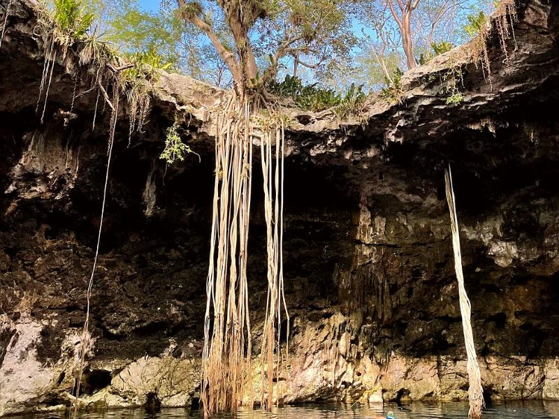 santa barbara cenotes