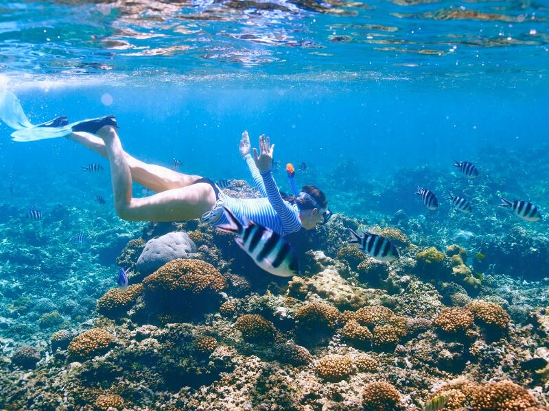 Snorkelen Belize Barrier Reef