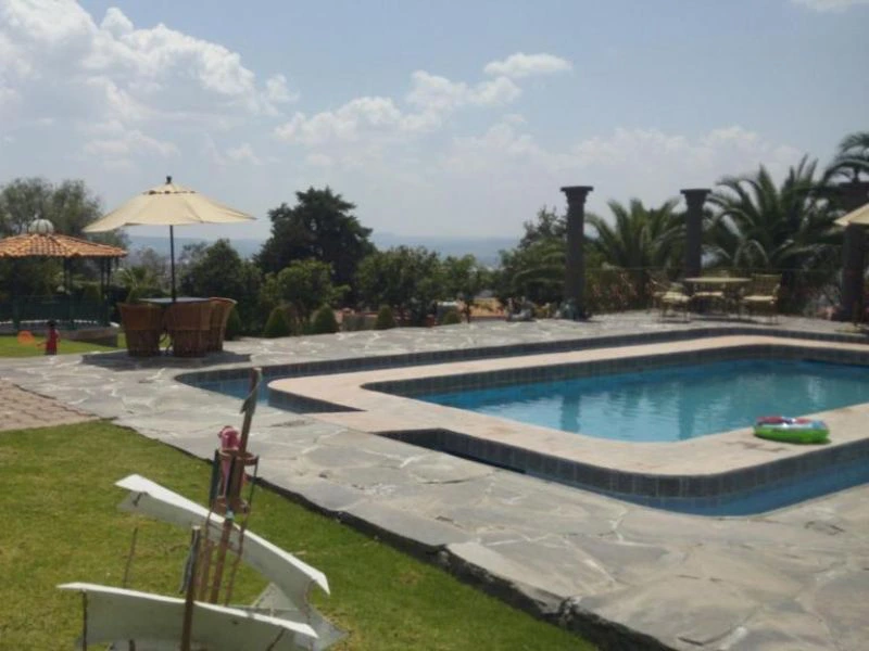 Zwembad bij het hotel met tuin en parasolletjes met uitzicht over de bomen