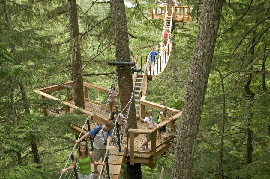 hangbrug wandeling Whistler Canada
