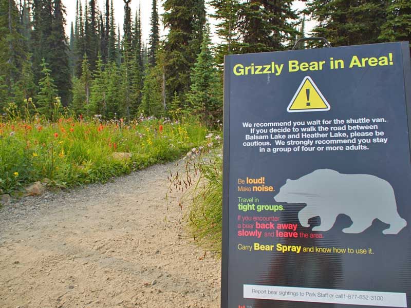 Wildkamperen Canada met kinderen