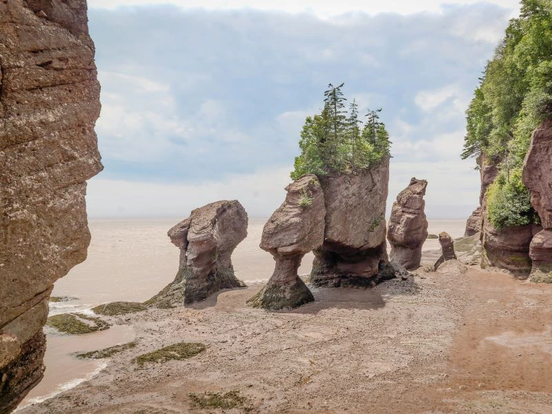 Bay of Fundy