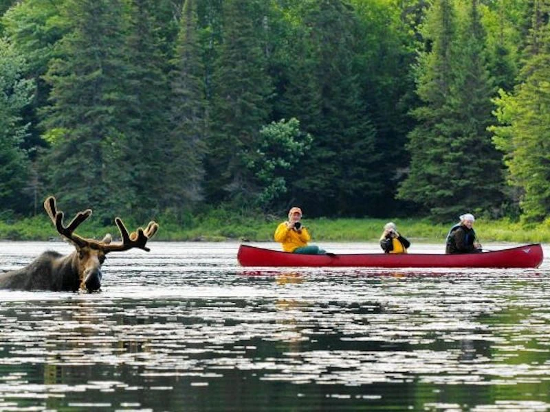 kanotour in algonquin