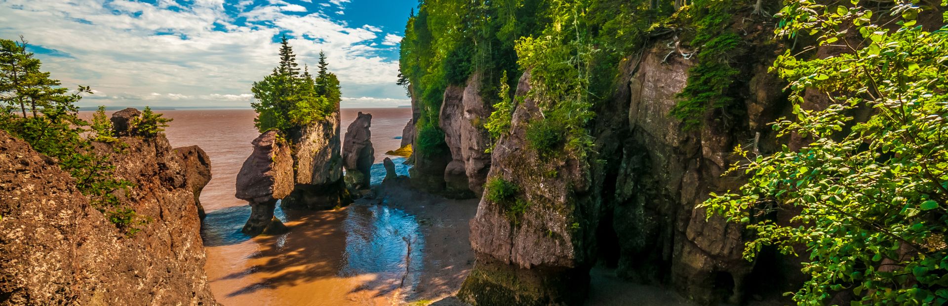OVerzicht bij hopewell rocks