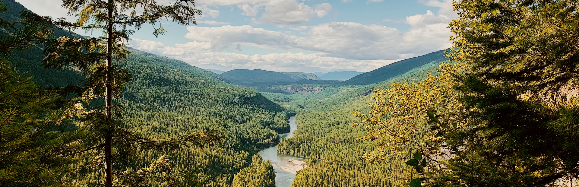 wells gray