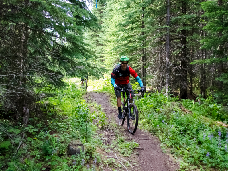 Mountain bike downhill