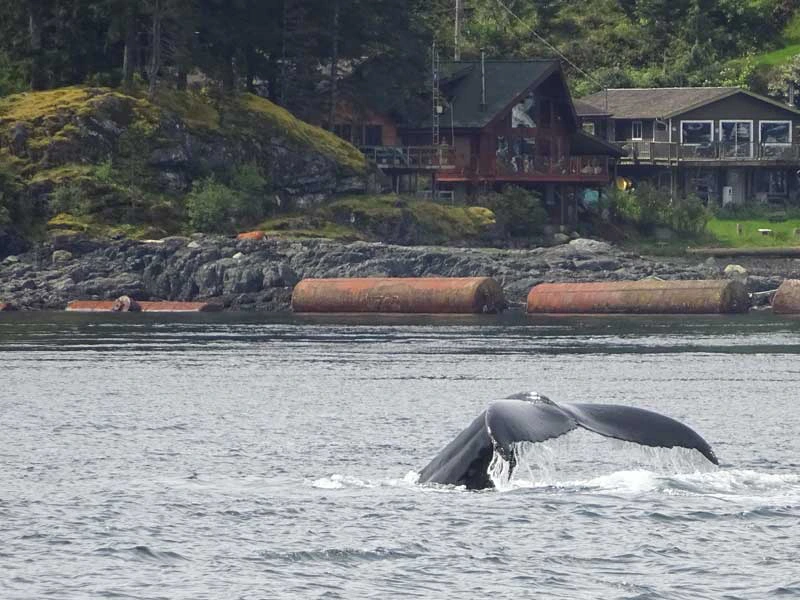 orka-vancouver