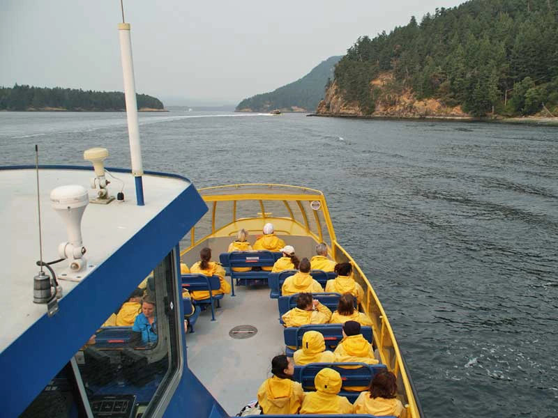 walvissen-vancouver-met-kinderen
