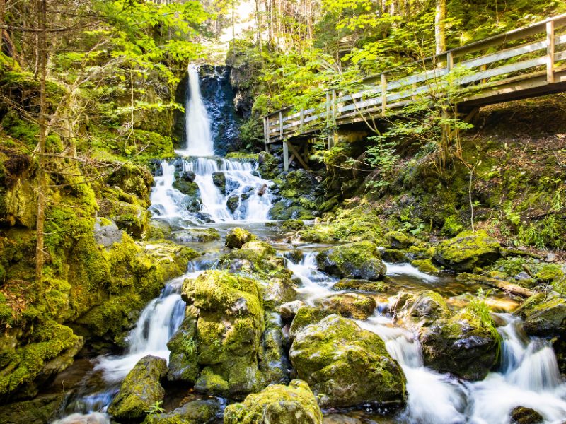 Fundy canada