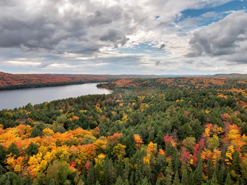 algonquin park canada