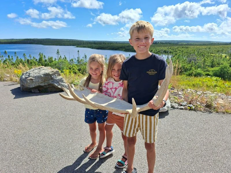 Drie kinderen staan midden in de natuur met een gewei in hun hand.