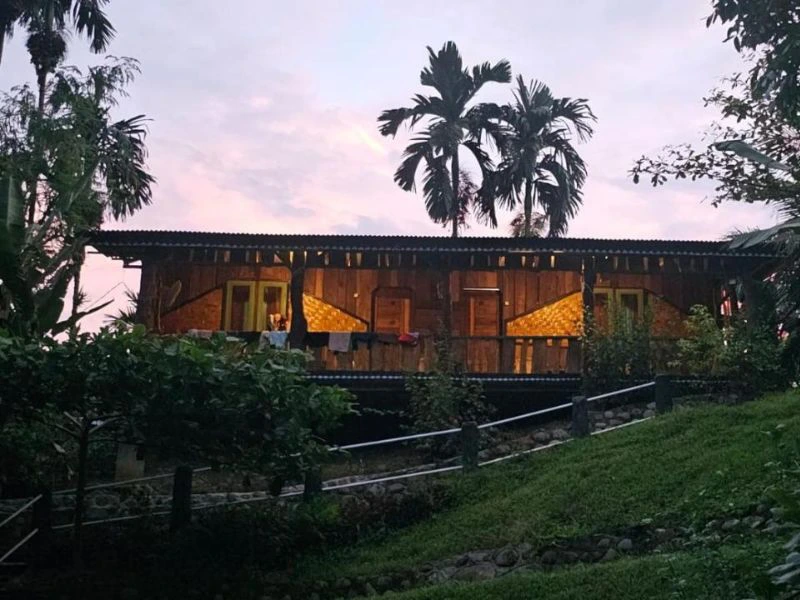 Accommodatie in de jungle in Tangkahan Sumatra
