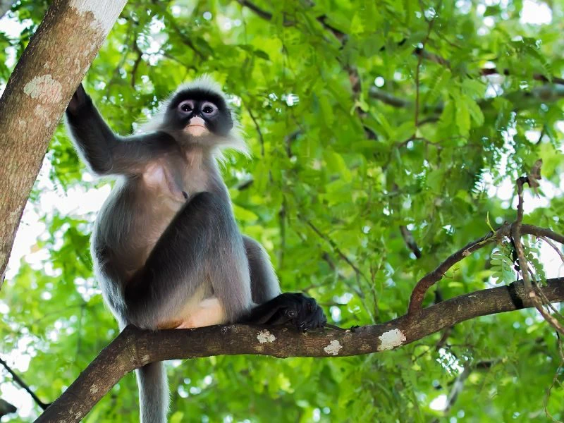 Wildlife tijdens je rondreis Bali en Lombok