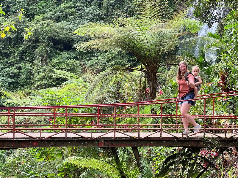 Munduk wandeling op Bali