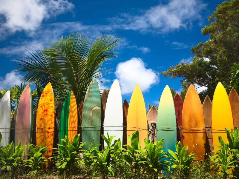 Surfen op Bali Indonesie