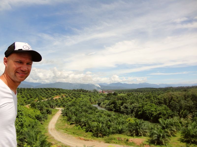 Uitzicht over de jungle op Sumatra