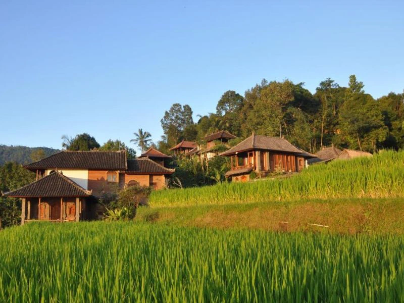 familiehotel in Munduk Bali