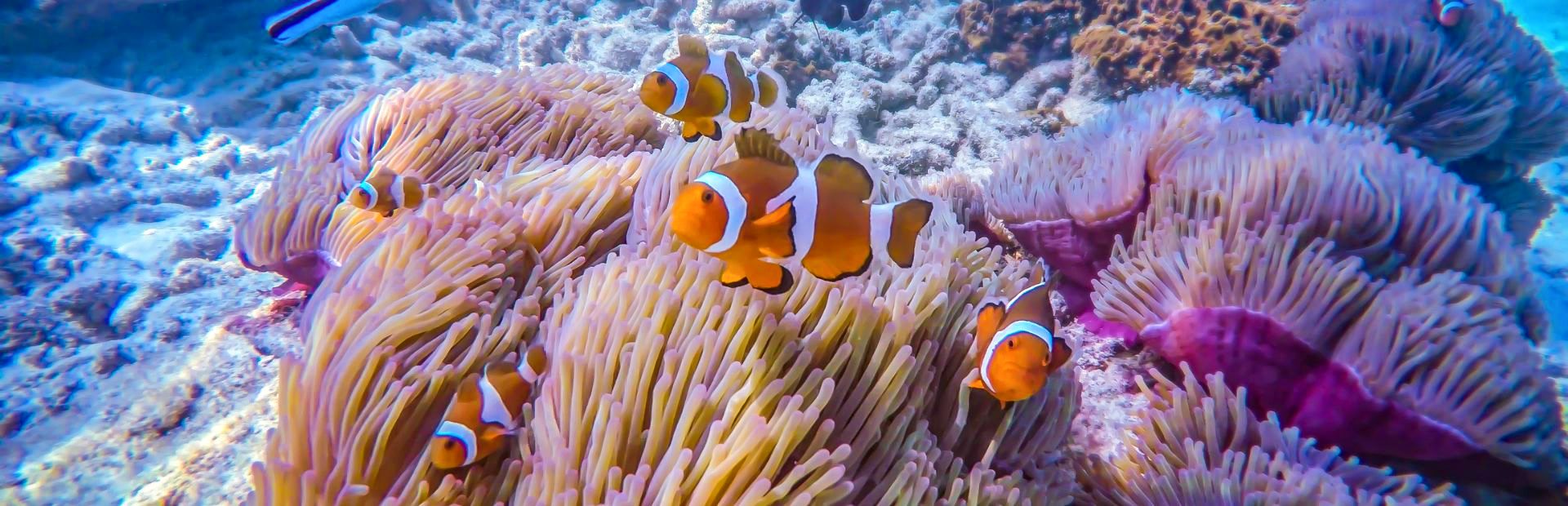 Sumatra Maleisië met kinderen