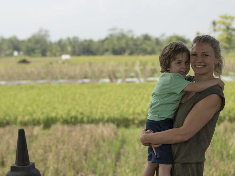 rijstvelden Indonesië java