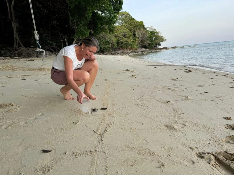 Vrouw hurkt op een leeg zandstrand naast een doorzichtige plastic bak met jonge schildpadjes, die richting zee kruipen. Op de achtergrond de branding en groene bomen aan de rand van het strand. Het is rustig en het licht is zacht.