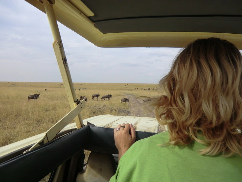 masai mara safari