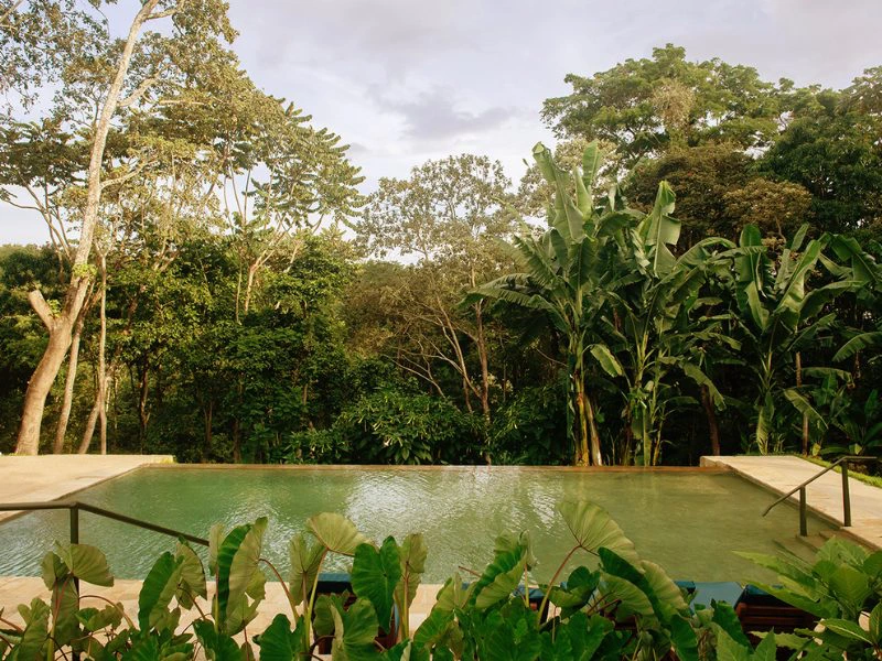 special stay Kilimanjaro