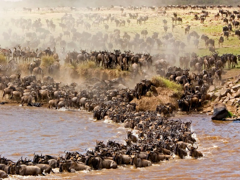 Masai Mara met kinderen