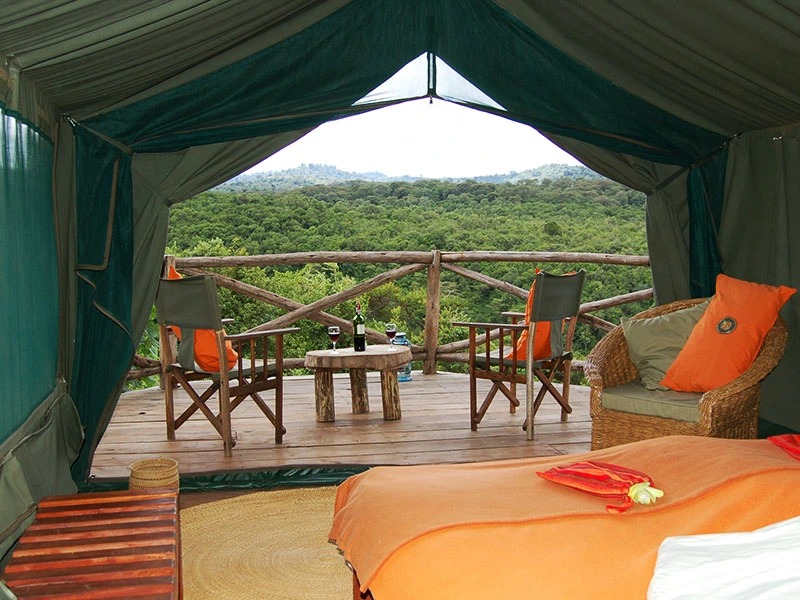 National Park Tanzania - tent Rhotia Valley
