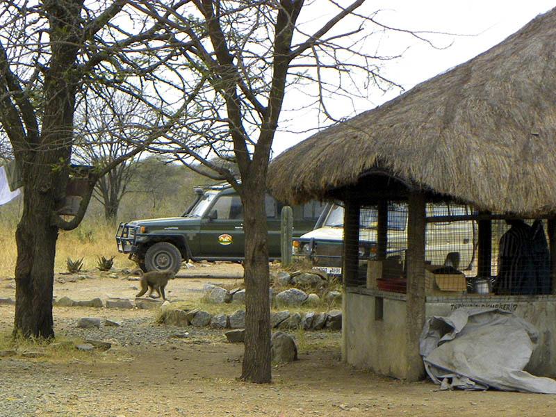 Restaurant in National Park