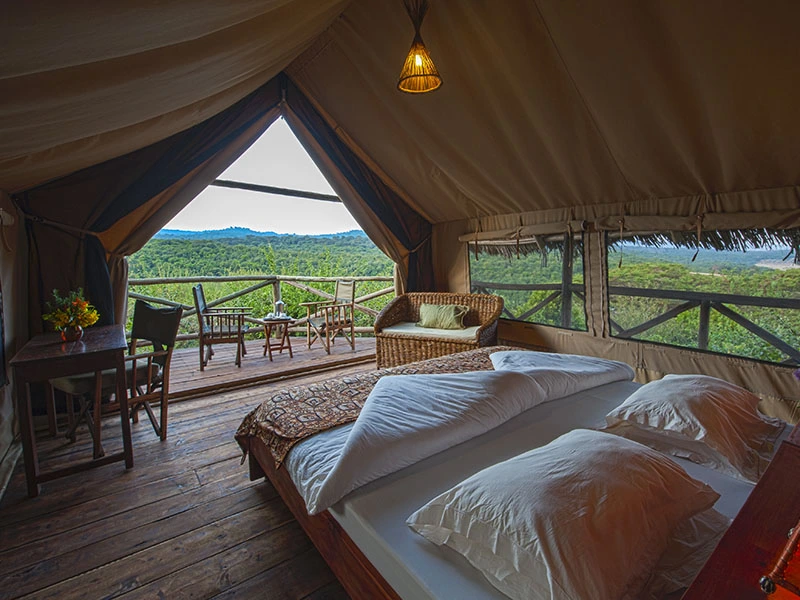 National Park Tanzania - tent Rhotia Valley
