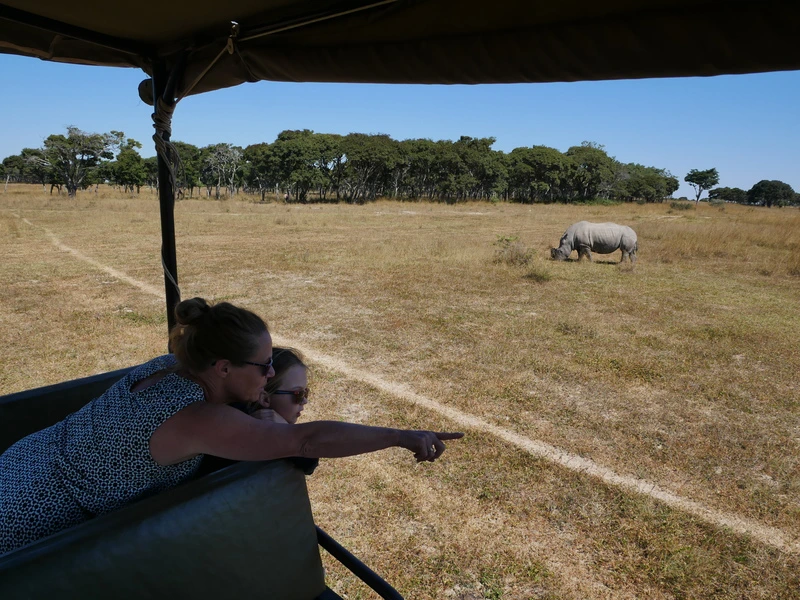 Safari's Kenia en Tanzania