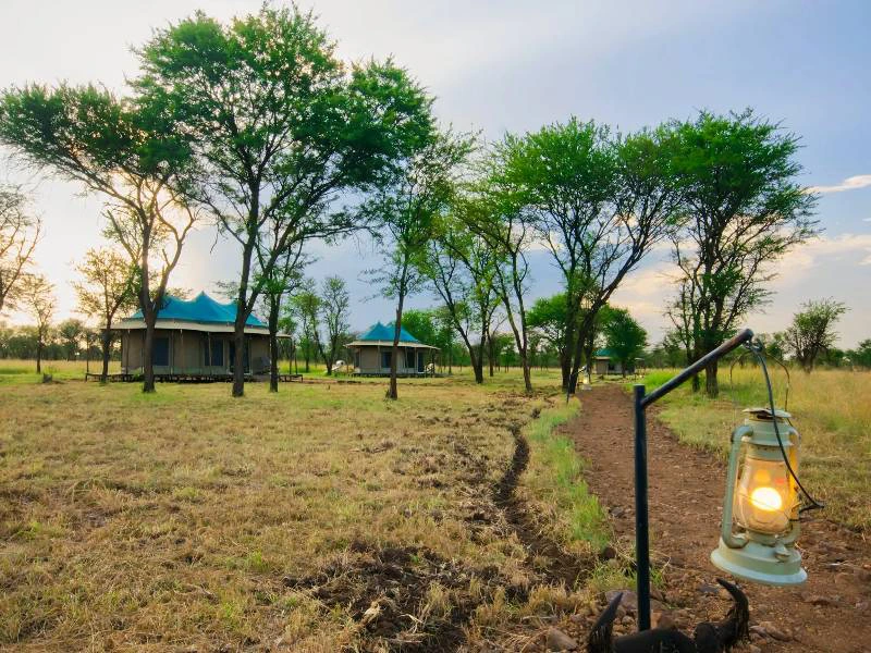 safari lodge bij serengeti