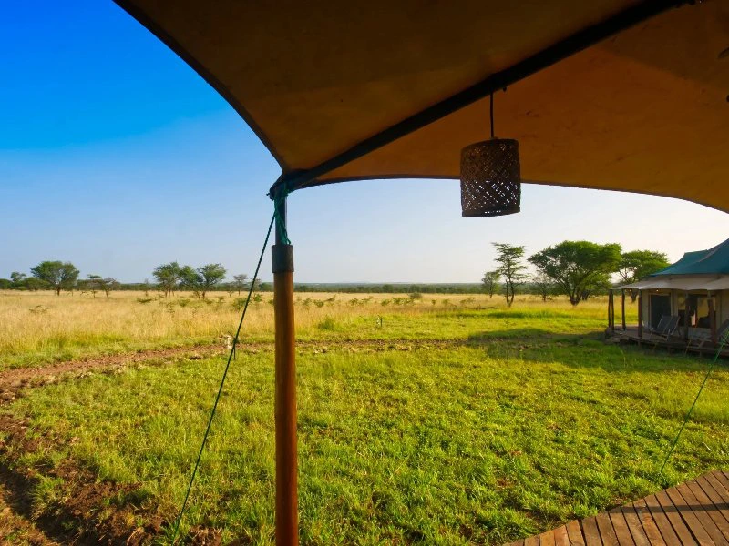 safari lodge bij serengeti