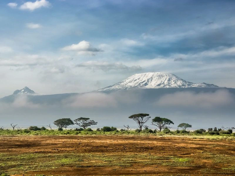 Savannelandschap met de Kilimanjaro op de achtergrond.