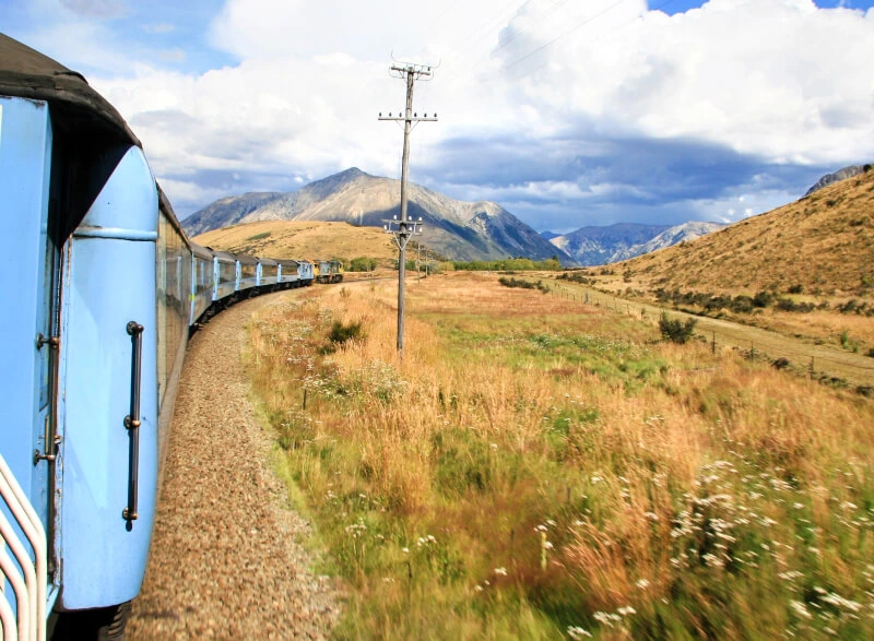 Nieuw Zeeland, transalpine