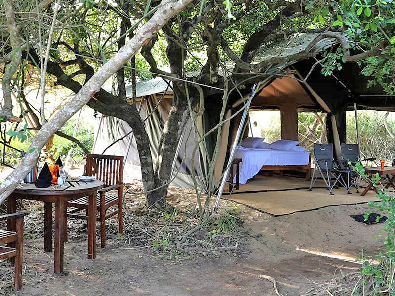 Kamperen in Sri Lanka safari