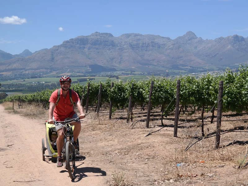 Man fietst met een kinderaanhanger langs wijngaarden met bergen op de achtergrond in een zonnig landschap.