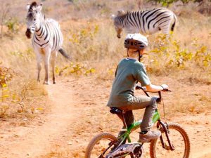 Safari met kinderen
