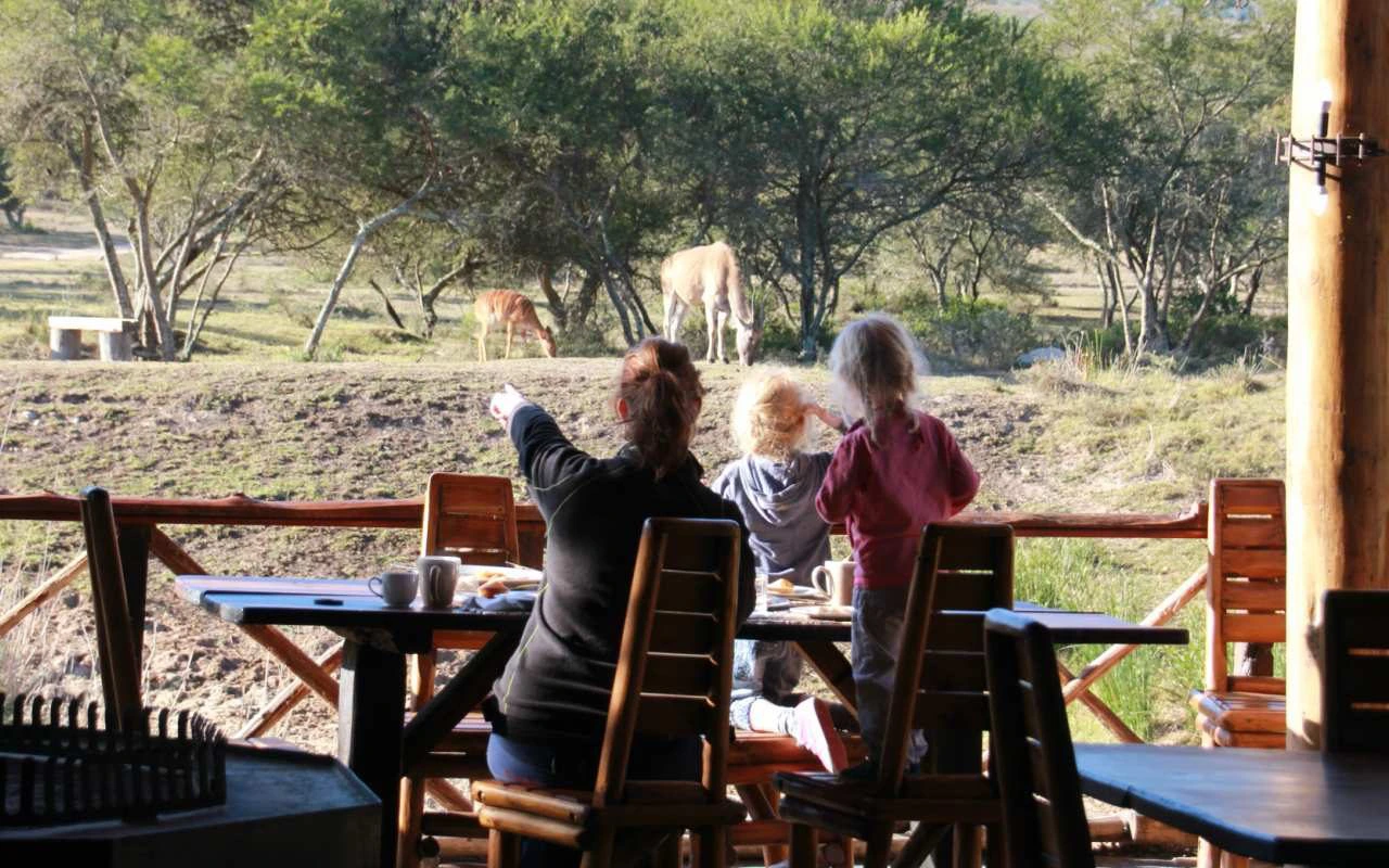 zuid-afrika-met-kinderen-wild-spotten