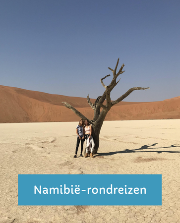 Namibië familiereizen