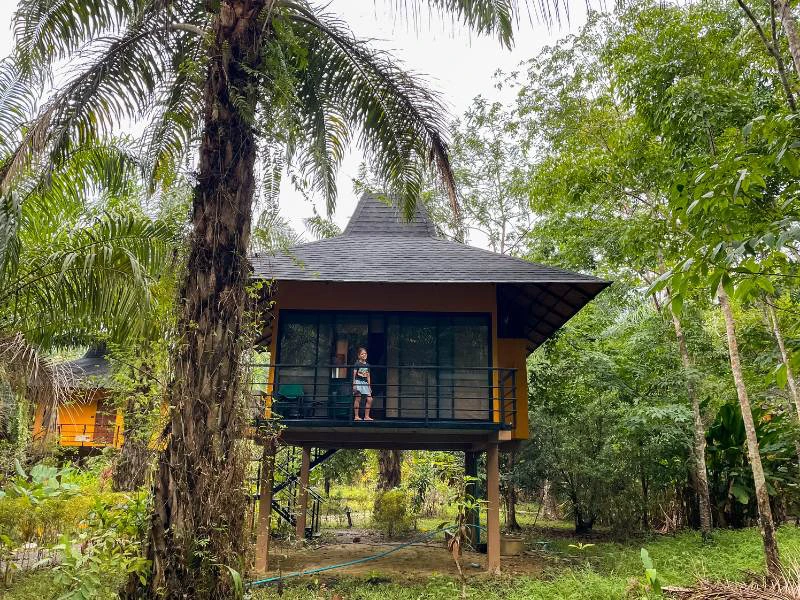 Khao Sok jungle lodge