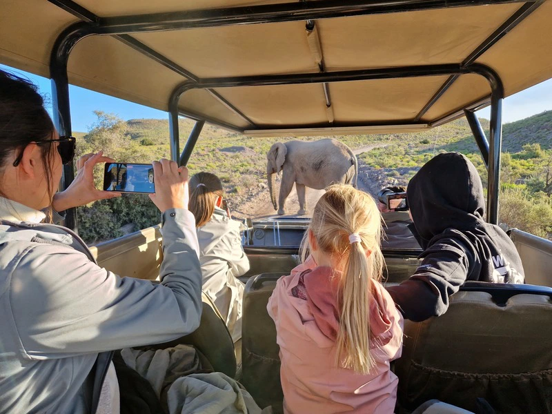 zuid afrika safari olifant jeep