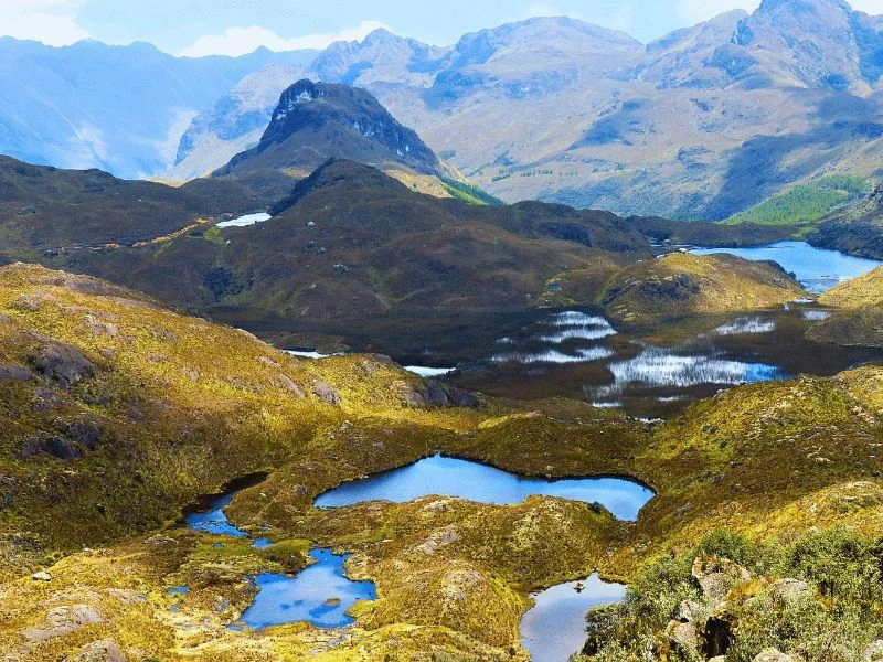 Cajas in Ecuador wandelen