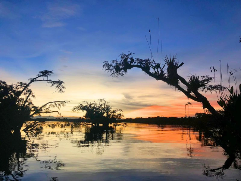 Ecuador Amazone Cuyabeno zonsondergang