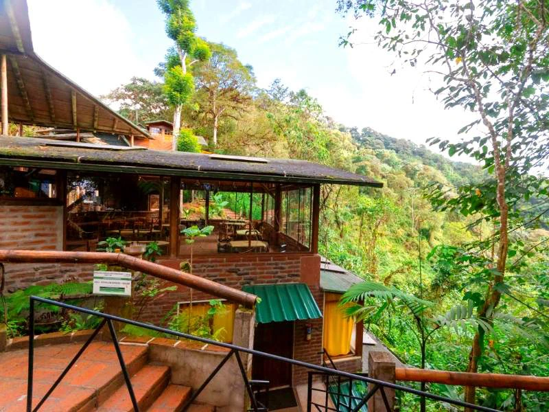 Ecuador Bellavista - lodge